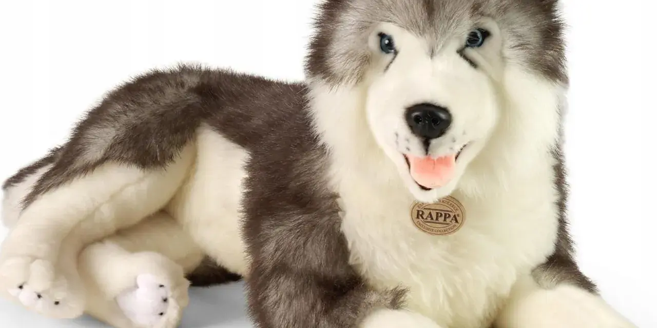 Pluszowe pieski jak żywe, ten husky z niebieskimi oczami i puszystym futrem wygląda jak prawdziwy przyjaciel.